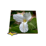 Michigan made coaster puzzle a little art for to enjoy