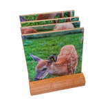 Michigan Coasters Wildlife Doe deer and fawn four piece coaster set with base