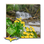Michigan Made Drink Coasters Wagner Waterfalls & Marsh Marigold Michigan's Upper Peninsula Gifts & Collectibles