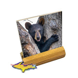 Wildlife Bear Cub-1260 ~ Drink Coaster & Collectibles