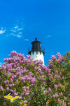 Lighthouse Point Iroquois Spring Lilacs Photo Michigan Photography Upper Peninsula Images