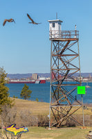 Great Lake Freighters Roger Blough Mission Point-5363.jpg