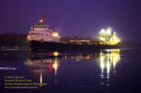 The great lake freighter Algosteel passing Rotary Park Sault Ste. Marie, Michigan