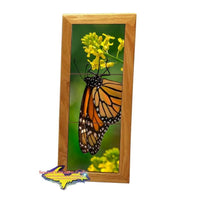 Wildlife Monarch Butterfly Michigan Made Framed Art Tiles Home Office Decor