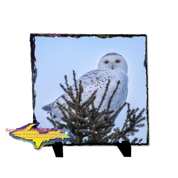 Snowy Owl Rustic Photo Slate Michigan Upper Peninsula Wildlife Gifts & Collectibles