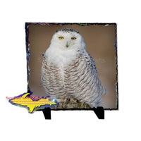 Snowy Owl 8x8 Rustic Photo Slate Unique Wildlife gifts & Collectibles