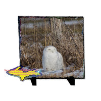 Snowy Owl Rustic Photo Slate Best Wildlife gifts & Collectibles
