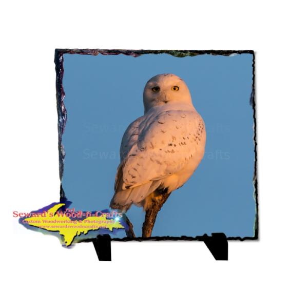 Snowy Owl Rustic Photo Slate Wildlife Photo Gifts & Collectibles