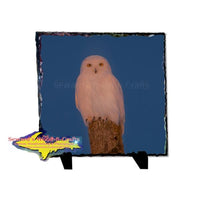 Snowy Owl Rustic Photo Slate Wildlife Photo Gifts And Collectibles
