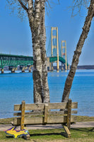 Michigan Royalty Free Stock Images Mackinac Bridge Photo