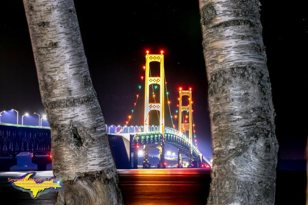 Michigan Photography Mackinac Bridge Nightscape with birch trees photo