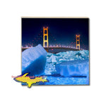 Michigan Drink Coasters Blue Ice Mackinac Bridge Michigan Made Gifts & Collectibles