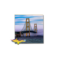 Coasters and trivets with photos of Michigan pick your own coaster set