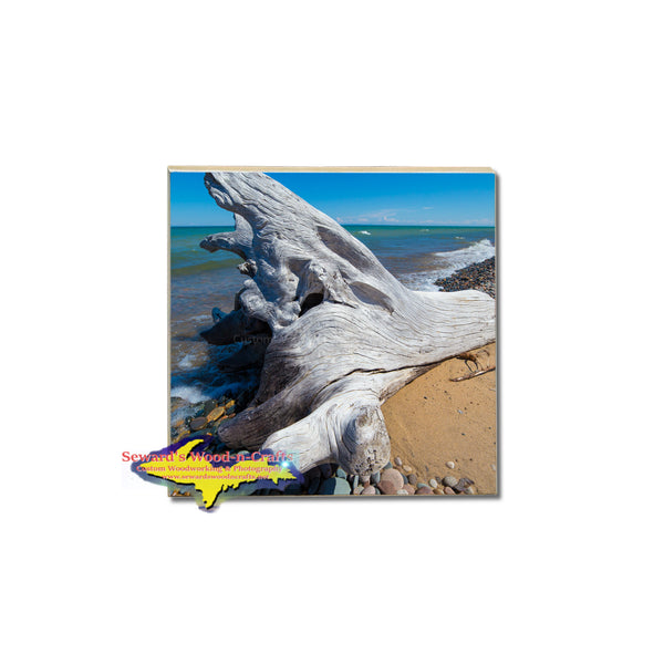 These Beautiful Lake Superior Driftwood Coasters & Trivets would make a perfect Michigan Gift! 