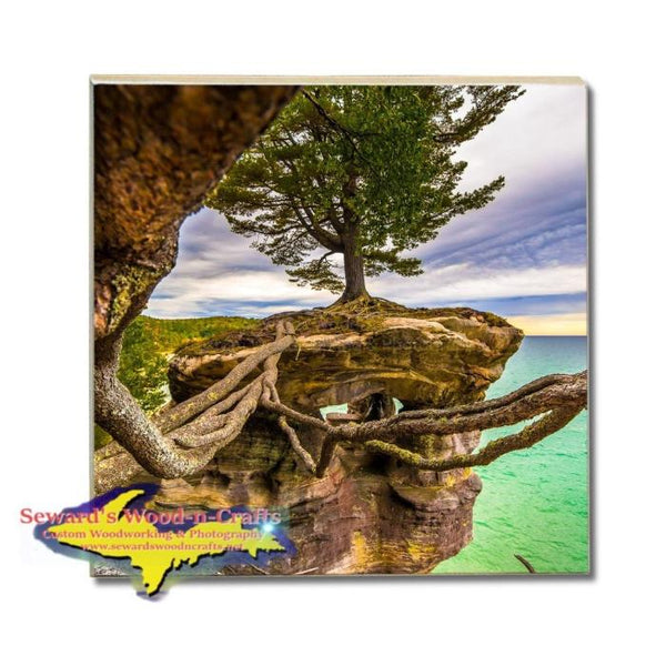 Best Michigan Made Drink Coasters Chapel Rock Roots Pictured Rocks Photos, Gifts, & Collectibles