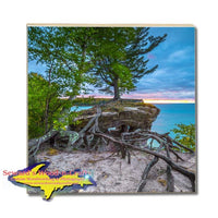 Michigan Drink Coasters Chapel Rock Roots Best Pictured Rocks Gifts, & Collectibles