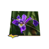 Beautiful Wild Iris one a four piece coaster puzzle set