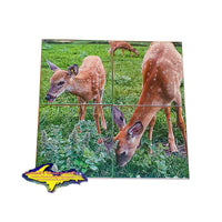 Michigan Coasters Wildlife Doe deer and fawn on a four piece coaster set