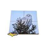 Snowy Owl Puzzle Coaster Unique inexpensive wildlife gifts for the family and friend to share