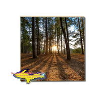 Michigan Made Drink Coasters Sunset Forest Shadows Best Michigan Gifts