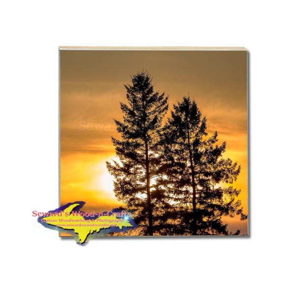 Michigan Made Drink Coasters Sunset On Pine Trees Michigan Photography Photo Gifts