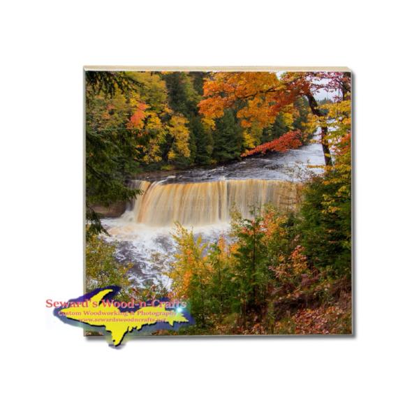 Michigan Made Drink Coaster Upper Tahquamemon Waterfalls Collectibles & Gifts
