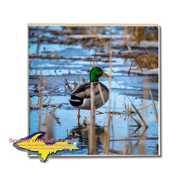 Michigan Drink Coasters Wildlife Mallard Duck Michigan Made Gifts & Collectibles