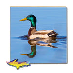 Michigan Wildlife Drink Coasters Mallard Duck Michigan Made Gifts & Collectibles