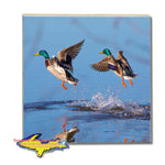 Michigan Wildlife Drink Coasters Mallard Duck Michigan Made Gifts