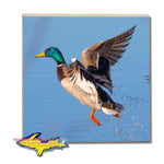 Michigan Wildlife Drink Coasters Mallard Duck Gifts For Duck Hunters