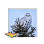 Snowy Owl Coaster Unique inexpensive Michigan Made wildlife coasters for the family and friends
