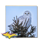 Snowy Owl Drink Coasters Michigan Made Wildlife Gifts & Collectibles