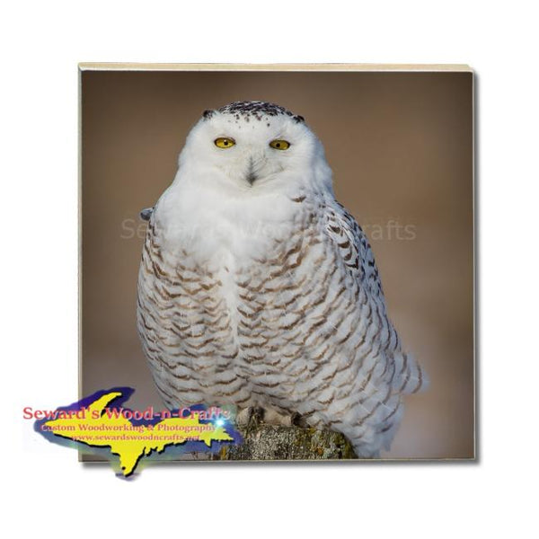 Michigan Drink Coasters Wildlife Snowy Owl Michigan Made Gifts & Collectibles