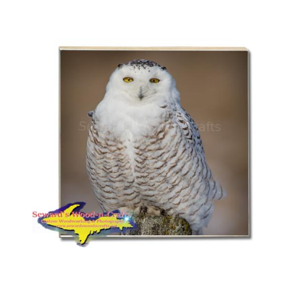 Wildlife Drink Coaster Snowy Owl Build Your Own Coaster Set With These Vivid Coasters