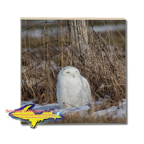 Michigan Drink Coasters Wildlife Snowy Owl Michigan Made Gifts