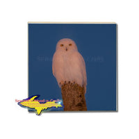 Snowy Owl Wildlife Drink Coaster Build Your Own Wildlife Coaster Set