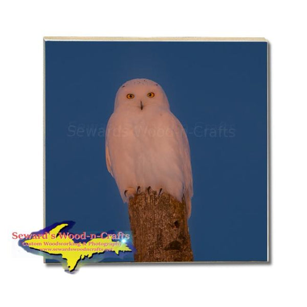 Michigan Drink Coasters Wildlife Snowy Owl Michigan Made