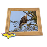 Michigan's Upper Peninsula Wildlife Framed Photo Eagle Wall Art Home Decor