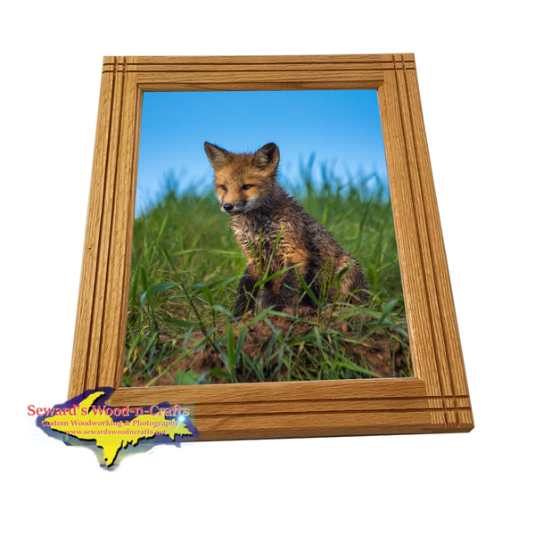 Michigan's Upper Peninsula Wildlife Framed Photo Wildlife Fox 