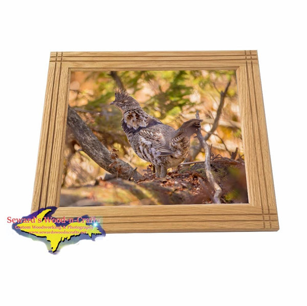 Wildlife Ruffed Grouse Partridge Framed Picture Home Hunting Cabin Decor