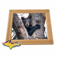 Wildlife Bear Cub Framed Photo For Home Cabin Decor 