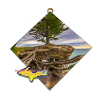 Hiking Michigan Collectable Gifts Pictured Rocks Chapel Rock Roots Wall Art
