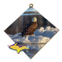 Michigan Made Wall Art Wildlife Photography Bald Eagle Hanging Art Tile