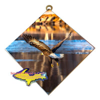 Michigan Wall Art Wildlife Photography Bald Eagle In Flight Hanging Art 