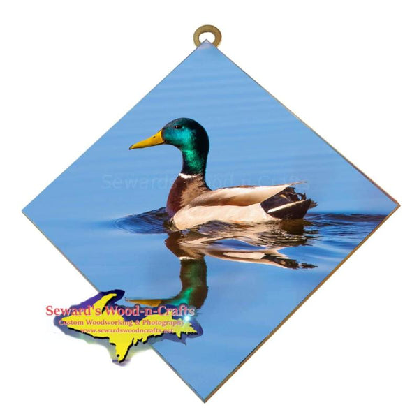 Michigan Wall Art Wildlife Photography Mallard Duck Hanging Art