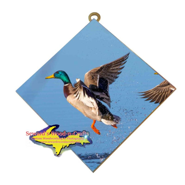 Michigan Wildlife Wall Art Mallard Duck Hanging Art Tile Wildlife Photography