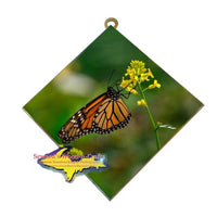 Michigan Wildlife Photography Monarch Butterfly Hanging Art Tile Nature & Wildlife Gifts