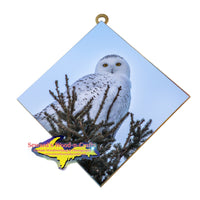 Snowy Owl Michigan Wildlife Wall Art