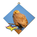 Snowy Owl Wildlife Gifts & Collectibles Nature Lovers Art