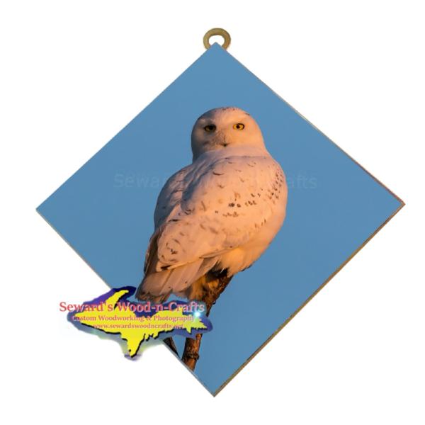 Snowy Owl Wildlife Wall Art Hanging Tiles Wildlife Photography And Photo Gifts